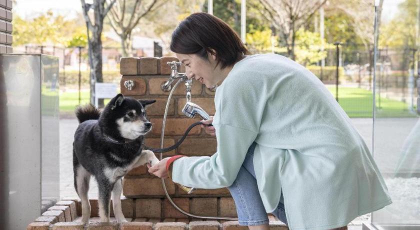 Izumigo Lake Hamanako Dog Paradise Hotel Hamamatsu Exterior foto