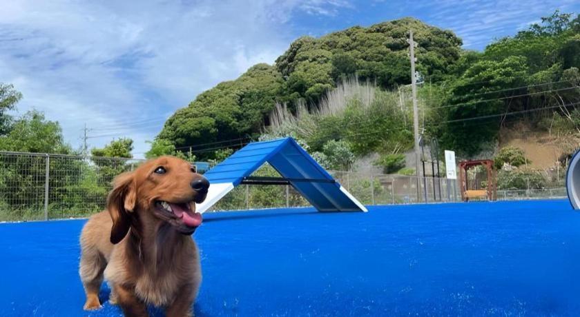 Izumigo Lake Hamanako Dog Paradise Hotel Hamamatsu Exterior foto
